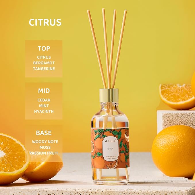Reed Diffuser Oil Set with Reed Sticks,Citrus Aromatherapy Oil Scent Diffuser for Home Office Bathroom Decoration Perfume