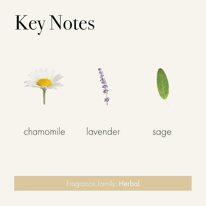 Reed Diffuser Refill, Chamomile Lavender - 8.4 oz - Up to 4-Month Fragrance Life - Includes Natural Wood Reeds, alternate