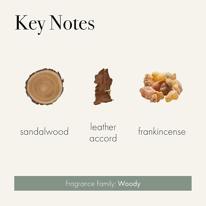 Reed Diffuser Refill, Feu de Bois - 8.4 oz - Up to 4-Month Fragrance Life - Includes Natural Wood Reeds, alternate product