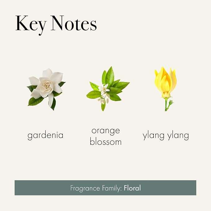 Reed Diffuser Refill, Fresh Cut Gardenia - 8.4 oz - Up to 4-Month Fragrance Life - Includes Natural Wood Reeds, alternate