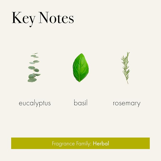 Reed Diffuser Refill, Rosemary Eucalyptus - 8.4 oz - Up to 4-Month Fragrance Life - Includes Natural Wood Reeds, alternate