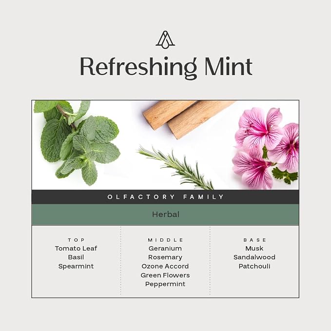 Reed Diffuser, Refreshing Minty Scent Diffuser (8.45 fl oz, 250ml)- Luxury Reed Diffusers Set for Home- Includes Reed