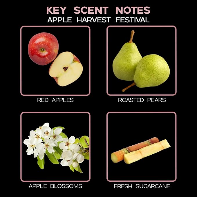 Reed Diffuser Set, Apple Harvest Scented Oil Diffuser with Sticks, Home Fragrance Accessories for Bathroom Shelf Decor