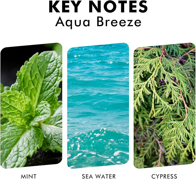 Reed Diffuser Set, Aqua Breeze Scented Oil Diffuser with Sticks, Long-Lasting Home Fragrance Reed Diffusers for Bathroom