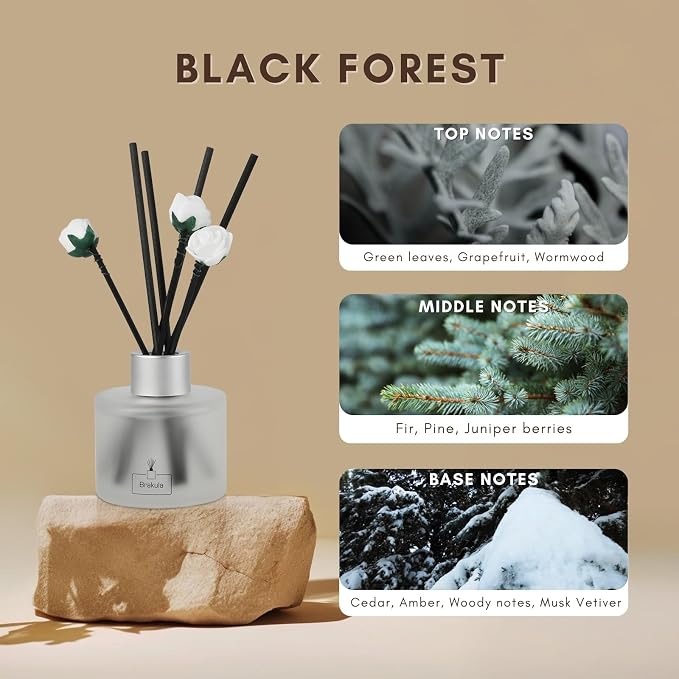 Reed Diffuser Set, Black Forest Scented, Reed diffusers for Home, Home Fragrance Diffuser with 7 Reed Sticks for
