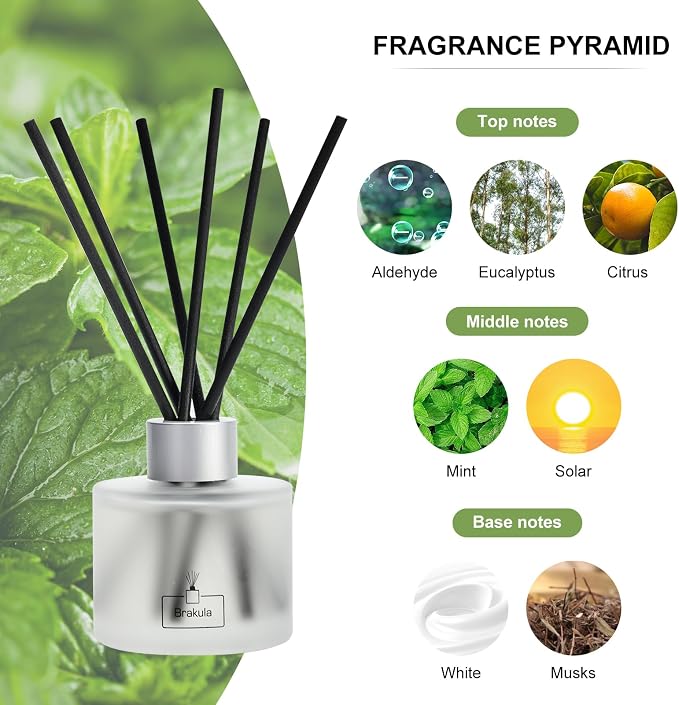 Reed Diffuser Set- Eucalyptus & Mint Scented Home Fragrance, 3.4OZ(100ml) x 2, Essential Oil Diffuser for Living Room