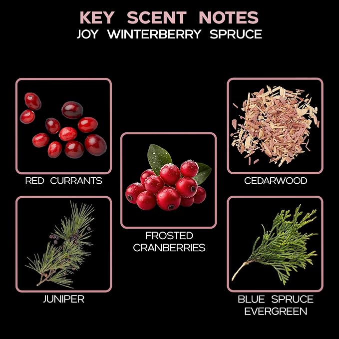 Reed Diffuser Set, Joy Winterberry Spruce Scented Oil Diffuser with Sticks, Home Fragrance Accessories for Bathroom Shelf