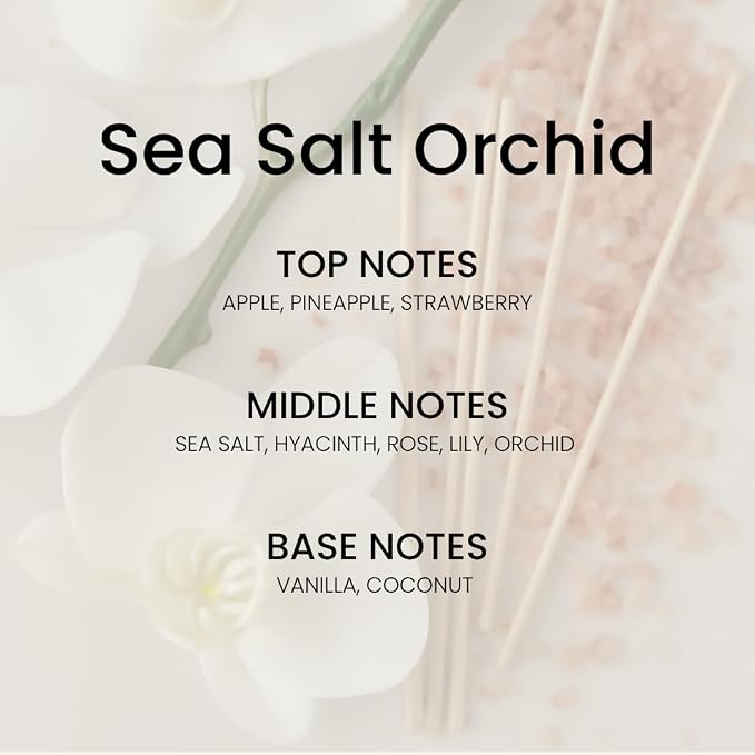 Reed Diffuser Set, Ocean Mist & Sea Salt 5.63 fl oz (160 ml) - Scented Oil Diffuser with 6 Sticks Luxury Fragrance for Home