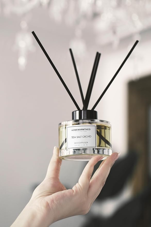 Reed Diffuser Set, Ocean Mist & Sea Salt 5.63 fl oz (160 ml) - Scented Oil Diffuser with 6 Sticks Luxury Fragrance for Home