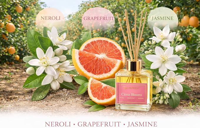 Reed Diffuser Set, Reusable, Refillable Glass Vessel Includes 8 Reed Sticks, Flame Free, Luxury Home Decor Fragance