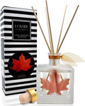 Reed Diffuser Set, Spiced Pumpkin Scented Oil Diffuser with Sticks, Home Fragrance Accessories for Bathroom Shelf Decor