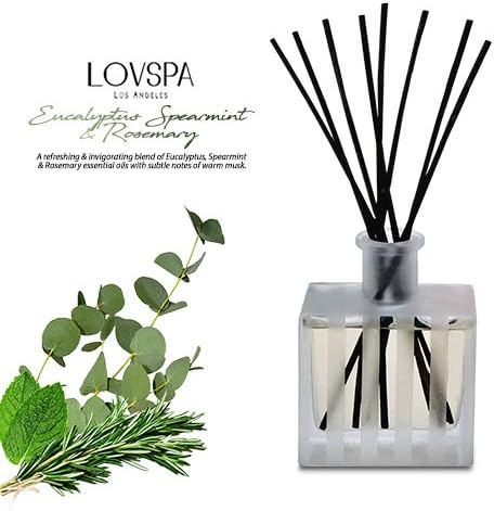Reed Diffuser Set, Unwind Eucalyptus & Mint Scented Oil Diffuser with Sticks, Home Fragrance Accessories for Bathroom Shelf