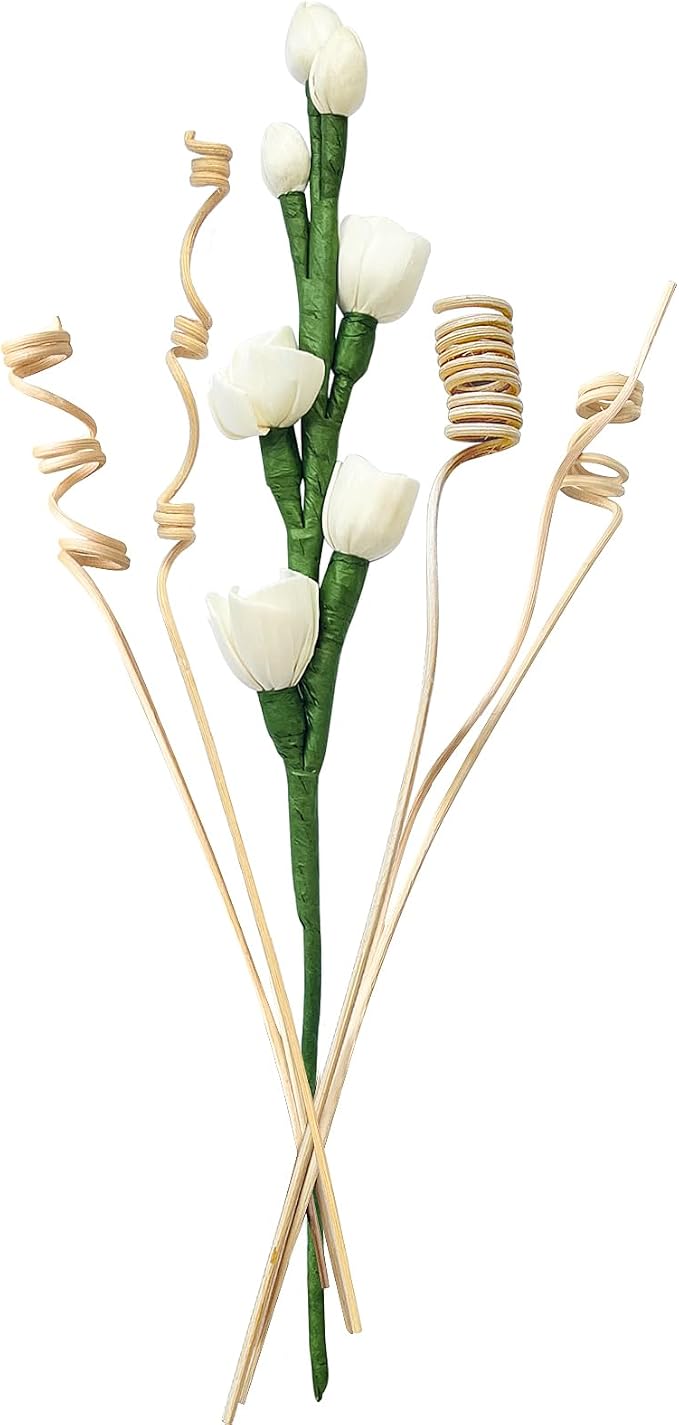 Reed Diffuser Sticks,Reed Diffuser Sticks Flowers,Reed Diffusers for Home,Bathroom Diffuser,Diffuser Set with Sticks,Natural