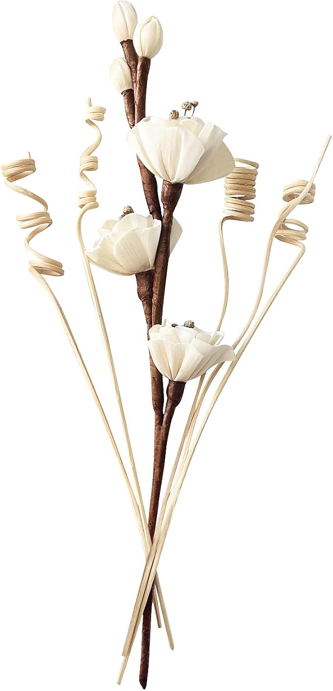 Reed Diffuser Sticks,Reed Diffuser Sticks Flowers,Reed Diffusers for Home,Bathroom Diffuser,Diffuser Set with Sticks,Natural