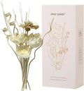 Reed Diffuser Sticks, Reed Diffuser Sticks Flowers, Reed Diffusers Set for Bathroom, Reeds Diffuser for Home, Bedroom Decor