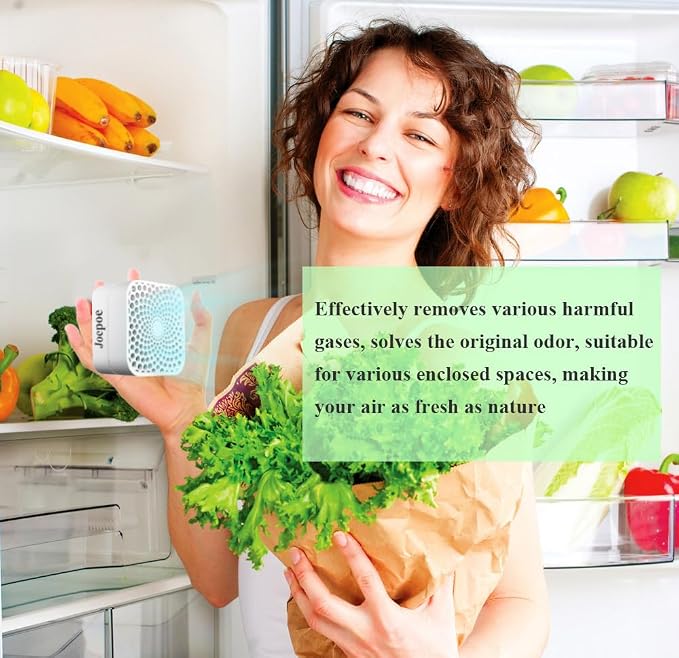 Refrigerator Deodorizer Lasts for 10 Years, Fridge Deodorizer Odor Eliminator 99%, Catalyst Air Purifier for Fridge &