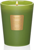 Rosemary Eucalyptus Soy Candle, 14.1oz 60H Long Lasting, Aromatherapy Candle for Bathroom Freshness Winter Home Decor
