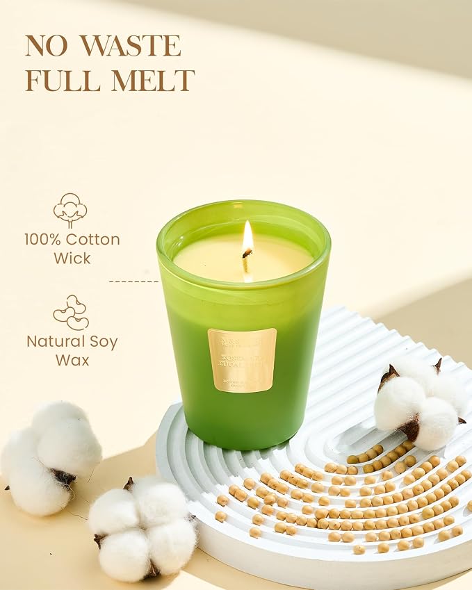 Rosemary Eucalyptus Soy Candle, 14.1oz 60H Long Lasting, Aromatherapy Candle for Bathroom Freshness Winter Home Decor