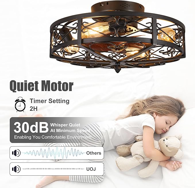 Rustic Black Caged Flush Mount Ceiling Fans with Lights and Remote Vintage Low Profile Bladeless Ceiling Fan, Reversible