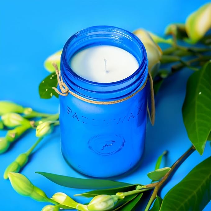 Scented Candles Relish Collection Soy Wax Artisan Candle in Glass Jar with Lid, 9.5-Ounce, Gardenia + Tuberose, alternate