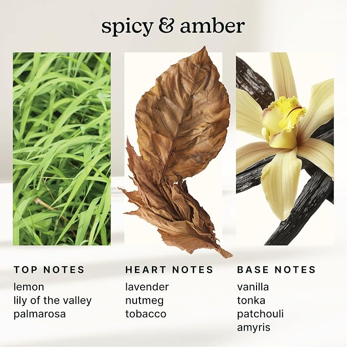 SereneScent Waterless Diffuser Oil Refill — Gilded Amber & Tonka (120ml). Warm & Luxurious Home Fragrance., alternate product