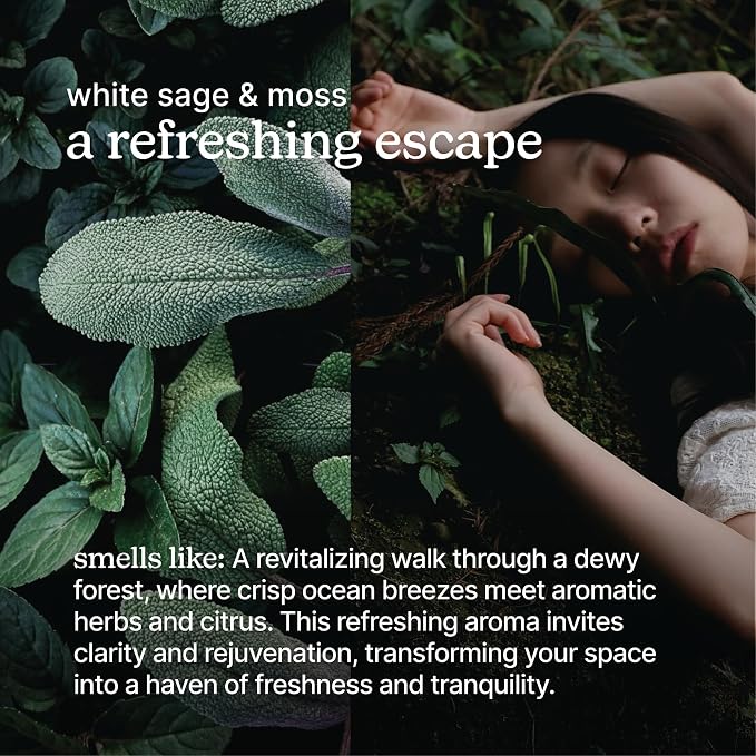 SereneScent Waterless Diffuser Oil Refill — White Sage & Moss (120ml). Fresh & Earthy Home Fragrance., alternate product view