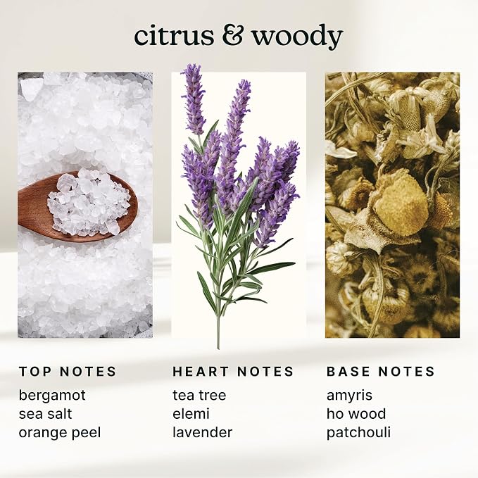SereneScent Waterless Diffuser Oil Refill — White Sage & Moss (120ml). Fresh & Earthy Home Fragrance., alternate product view