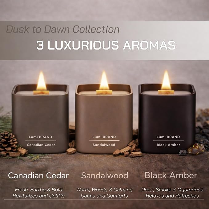 Set of 3 Scented Soy Candles Gift Set | Dusk to Dawn Collection - Canadian Cedar, alternate product view 2