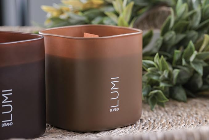 Set of 3 Scented Soy Candles Gift Set | Dusk to Dawn Collection - Canadian Cedar, alternate product view 5
