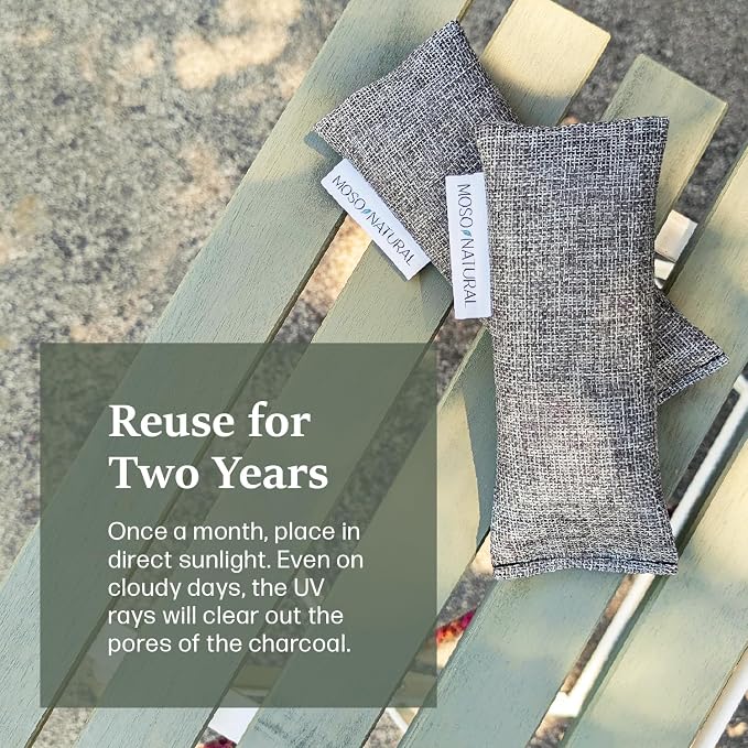 Shoe Deodorizer Inserts, HGTV Editor's Pick, Reusable Charcoal Odor Absorber for Shoes, Gym Bags, Sports Gear., alternate