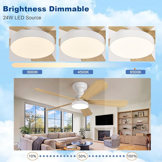 Small Ceiling Fan with Lights: 42-Inch Flush Mount Fan with Light and Remote - Low Profile Ceiling Fans Reversible Quiet DC