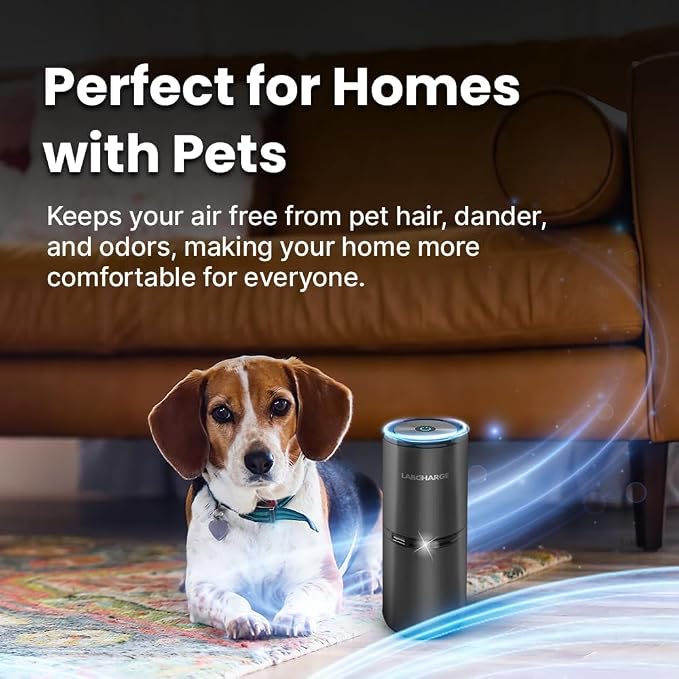 Small Ionic Air Purifier for Home & Bedroom – Silent HEPA Filter – Covers 250 Sq Ft - Free Cleaner for Pets, Hair, Smoke