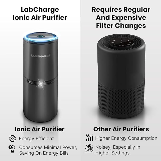 Small Ionic Air Purifier for Home & Bedroom – Silent HEPA Filter – Covers 250 Sq Ft - Free Cleaner for Pets, Hair, Smoke