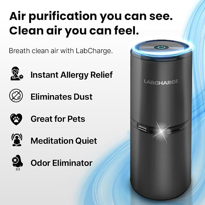 Small Ionic Air Purifier for Home & Bedroom – Silent HEPA Filter – Covers 250 Sq Ft - Free Cleaner for Pets, Hair, Smoke
