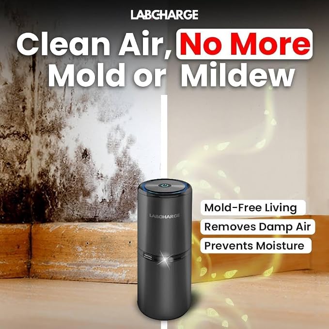 Small Ionic Air Purifier for Home & Bedroom – Silent HEPA Filter – Covers 250 Sq Ft - Free Cleaner for Pets, Hair, Smoke