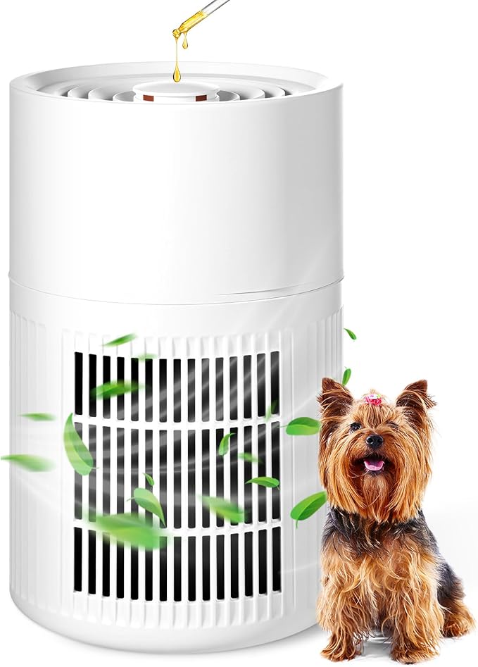 Small Portable Air Purifiers for Dorm Room Pet Bedroom Office Home with 3-in-1 Filter Fragrance Box White Mini Air Purifier