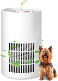 Small Portable Air Purifiers for Dorm Room Pet Bedroom Office Home with 3-in-1 Filter Fragrance Box White Mini Air Purifier