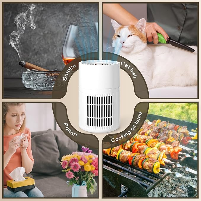 Small Portable Air Purifiers for Dorm Room Pet Bedroom Office Home with 3-in-1 Filter Fragrance Box White Mini Air Purifier