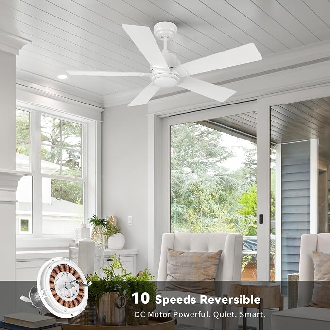 Smart 60" Ceiling Fans with Lights, 3 Light Colors Dimmable, 10 Speeds DC Ceiling Fan with Remote, Outdoor Ceiling Fan