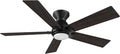 Smart Ceiling Fans with Lights Flush Mount 48”, 3 Light Colors Dimmable, 10 Speeds DC Ceiling Fan with Remote