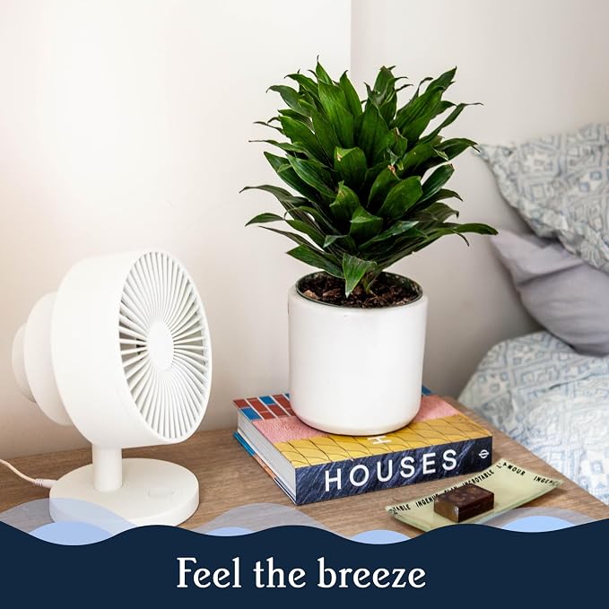 Smart Fan – Ultra-Quiet 2-in-1 Air Circulator with Remote – 5-Speed Compact Cooling Fan – Whisper-Quiet - App Compatible