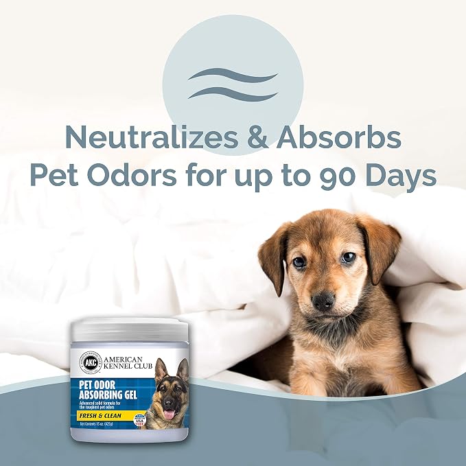 SMELLS BEGONE Pet Odor Absorber Gel - Air Freshener & Odor Eliminator - Made with Essential Oils - Fresh & Clean Scent - 15
