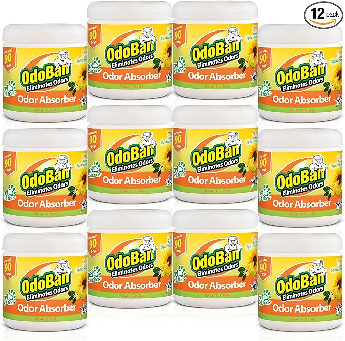 Solid Odor Absorber Eliminator for Home and Small Spaces, Citrus Scent, 14 Ounces Each, 12-Pack, product image