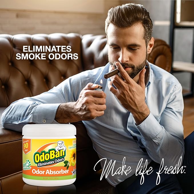 Solid Odor Absorber Eliminator for Home and Small Spaces, Citrus Scent, 14 Ounces Each, 12-Pack, alternate product view 3