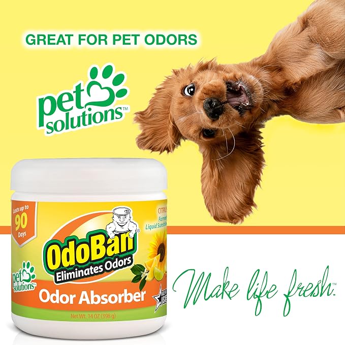 Solid Odor Absorber Eliminator for Home and Small Spaces, Citrus Scent, 14 Ounces Each, 12-Pack, alternate product view 4