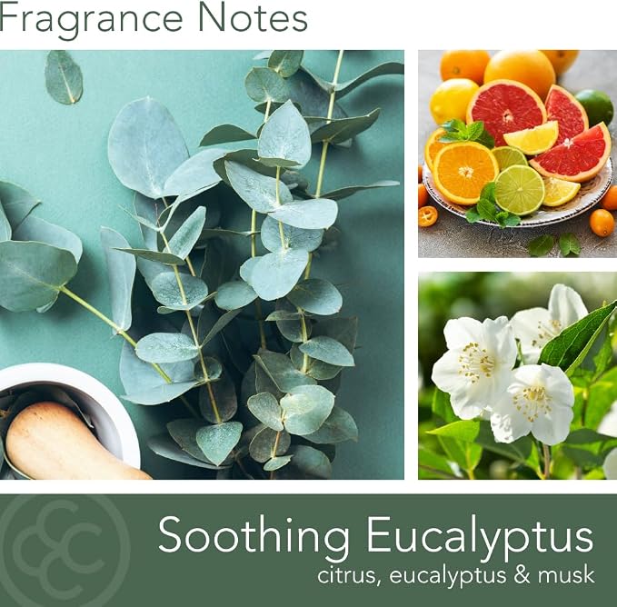 Soothing Eucalyptus Scented Candle, 16 oz comfort Relaxing Aromatherapy Candle, 2 Wick White Jar Soy Blend Wax, alternate