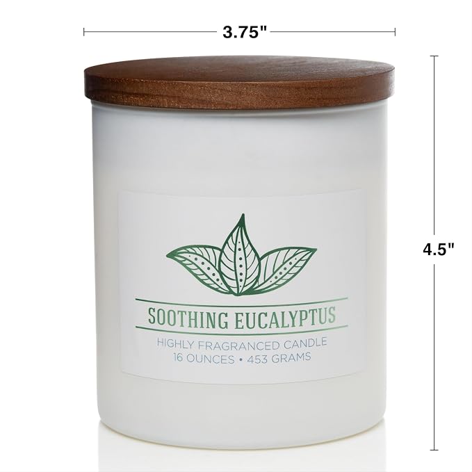 Soothing Eucalyptus Scented Candle, 16 oz comfort Relaxing Aromatherapy Candle, 2 Wick White Jar Soy Blend Wax, alternate