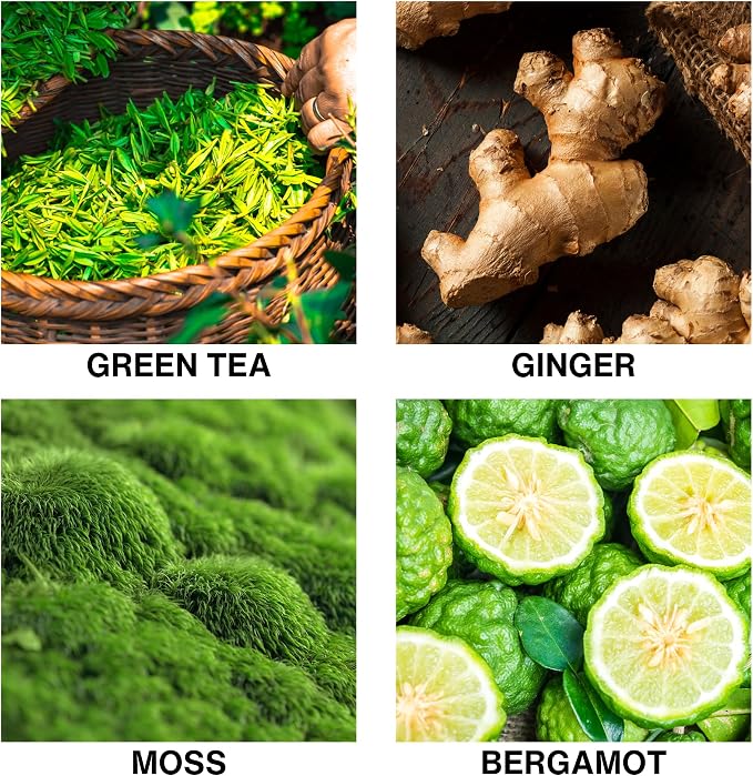 Spice Odyssey Luxury Reed Diffuser – Green Tea, Ginger, Moss & Bergamot Scent – Long Lasting Diffusers for Home, alternate