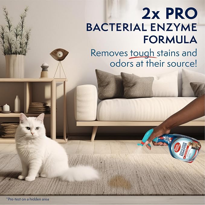 Stain & Odor Eliminator for Pets, Carpet Deodorizer, Enzyme Pet Odor Eliminator for Home, Stain Remover for Cat & Dog Pee