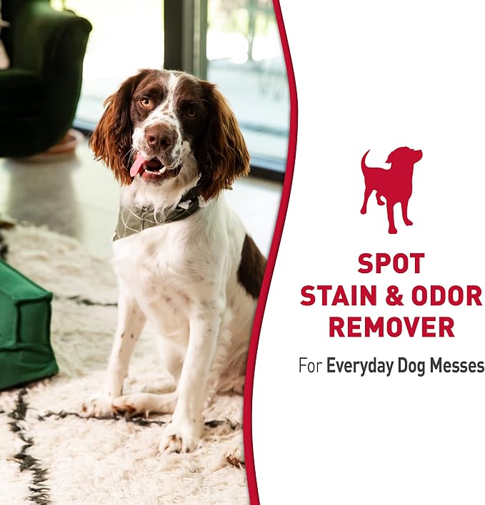 ® Stain & Odor Remover, Tough on Dog Urine, Feces, Vomit, Drool and Other Organic Stains and Odors, alternate product view 3